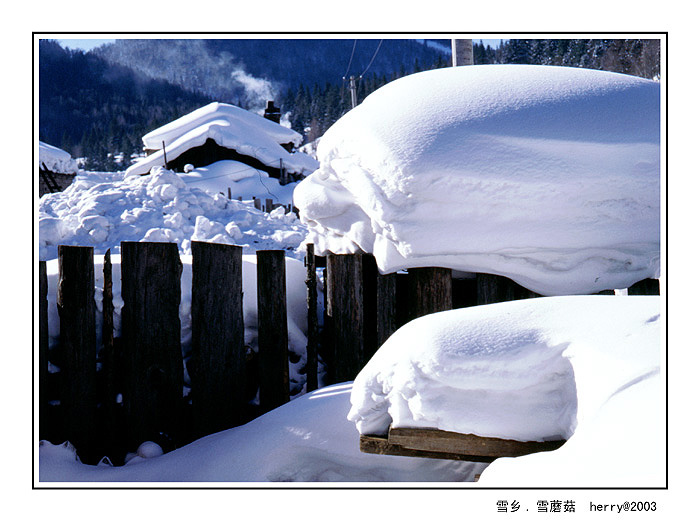 雪乡 摄影 扬帆去远航