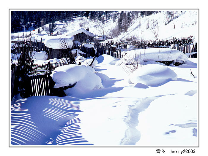 雪乡——童话世界 摄影 扬帆去远航