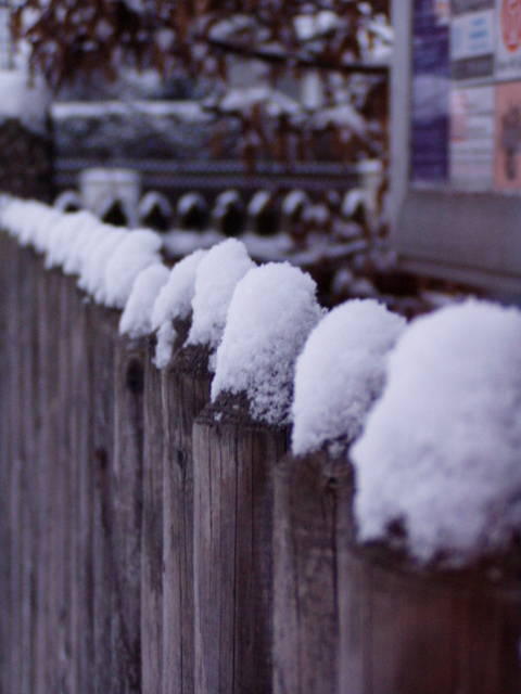 慕尼黑的雪系列 摄影 小乐乐