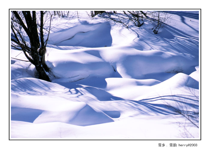 雪韵 摄影 扬帆去远航