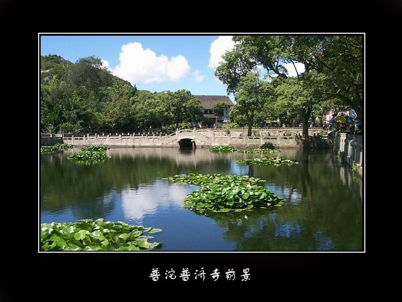 普沱普济寺前景 摄影 seg