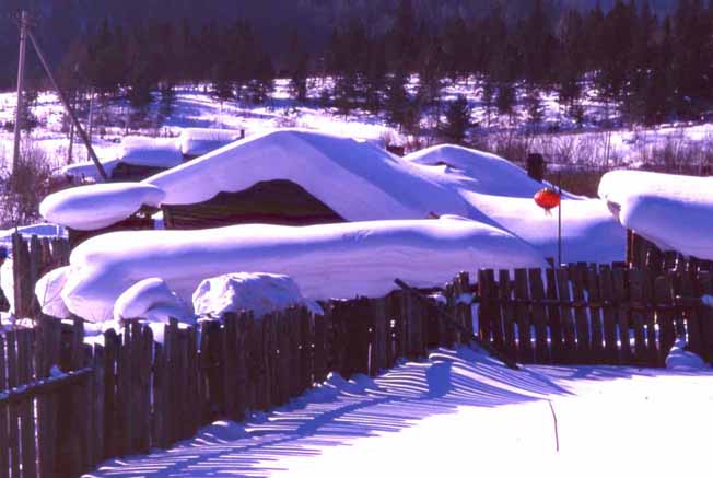 雪韵 摄影 枫林小憩