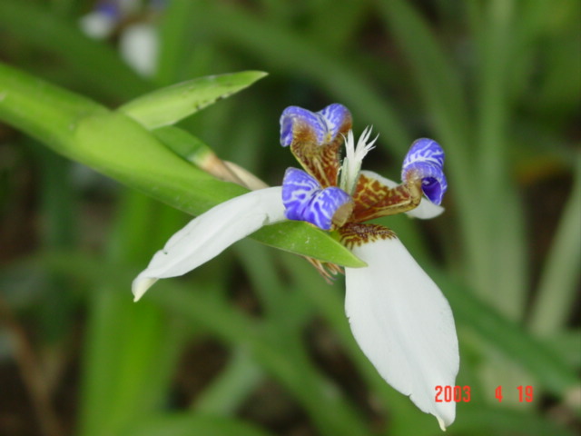 Beauty 摄影 芊芊之手