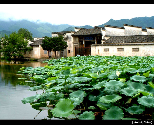 宏村一景 摄影 bluga