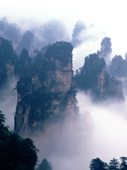 西海盆景 摄影 奇石