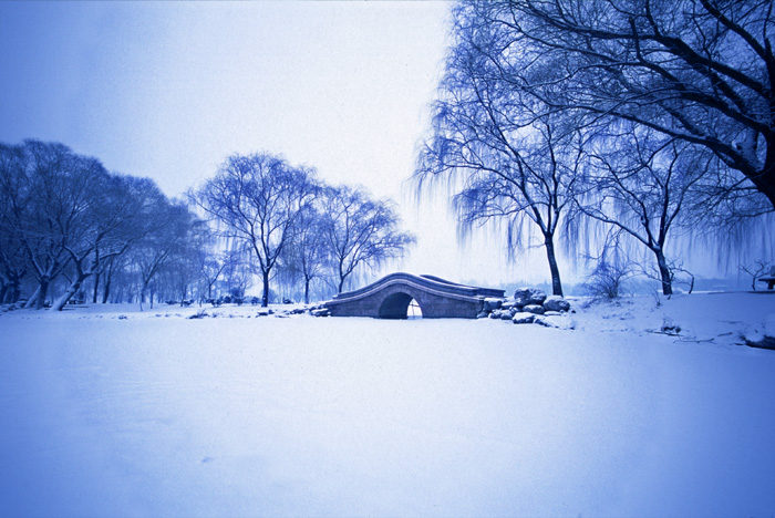 雪沃大地 摄影 笑傲浆糊