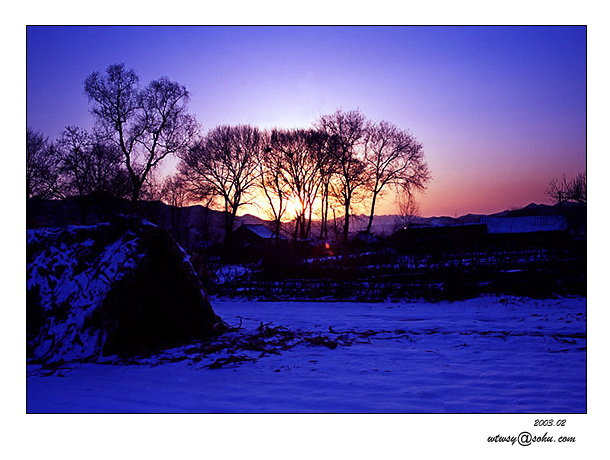 雪浴夕阳 摄影 影者