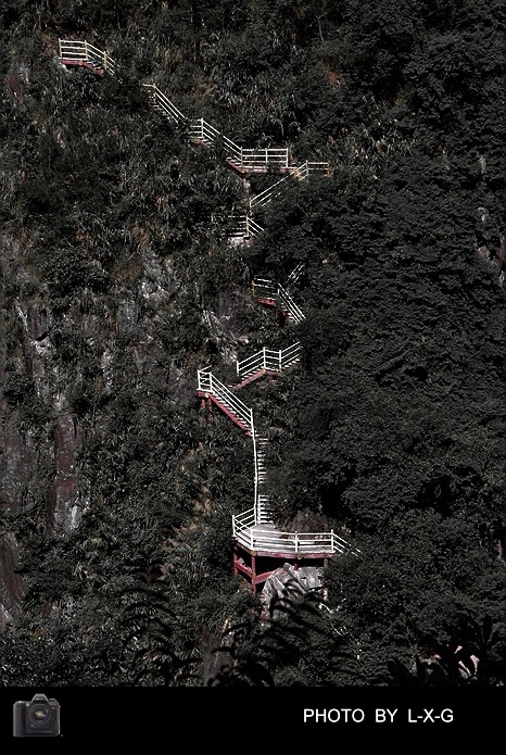 栈道 摄影 白玉苦瓜