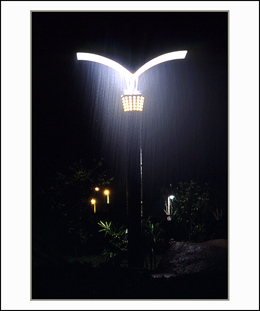 夜雨 摄影 名猪