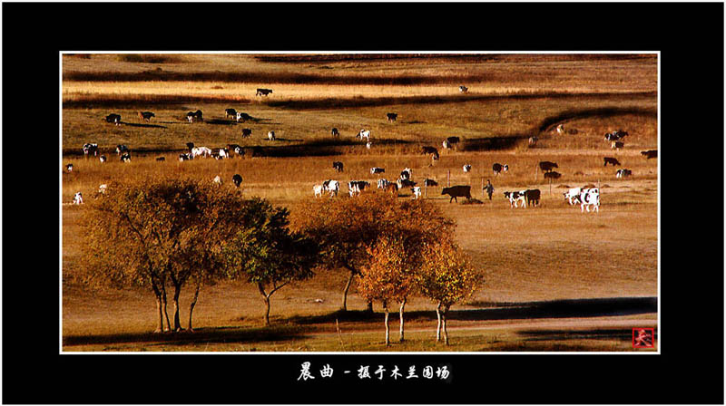 坝上风光 摄影 天地人