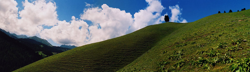 夏日山野 摄影 觅霓