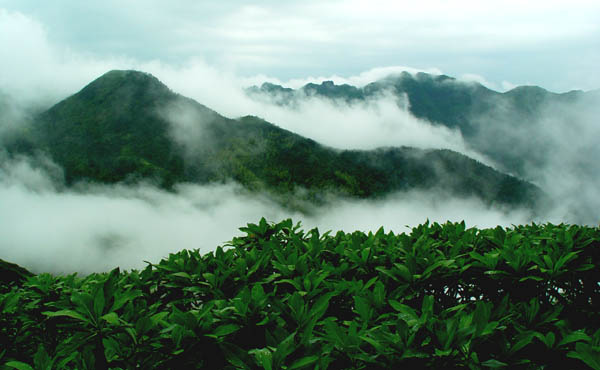 青山 摄影 荒原