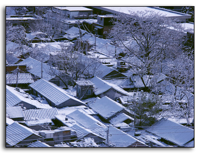 蓝色雪世界 摄影 山水