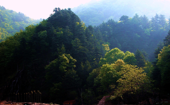 太岳风光 摄影 forestphoto