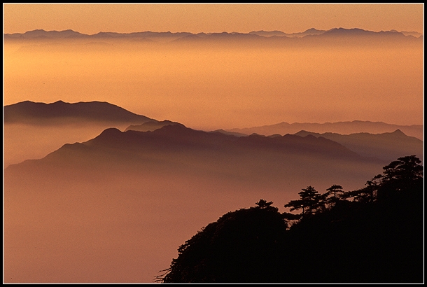 三清山朝霞 摄影 夕阳