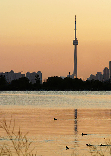 夕阳.Toronto CN Tower 摄影 Maple Leaf