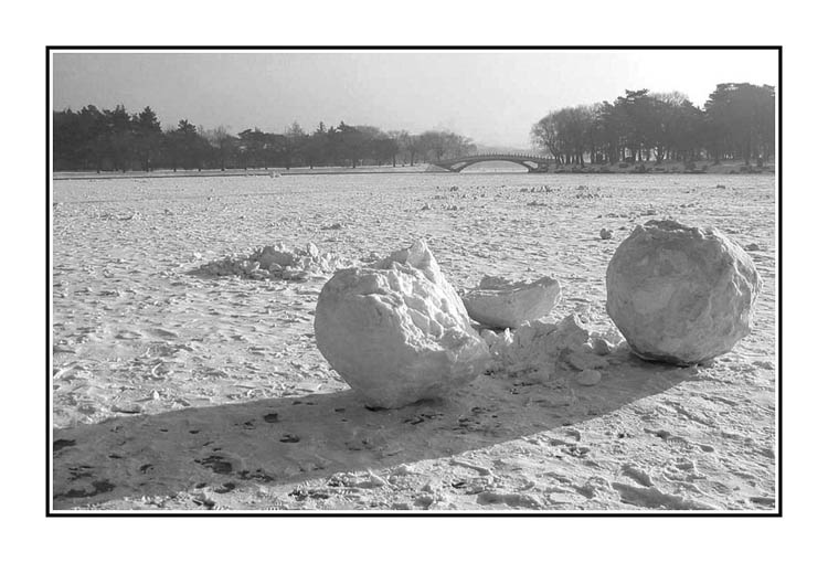 雪与景 摄影 吴建衡