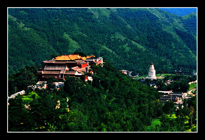 五台山之夏 摄影 老奥迪