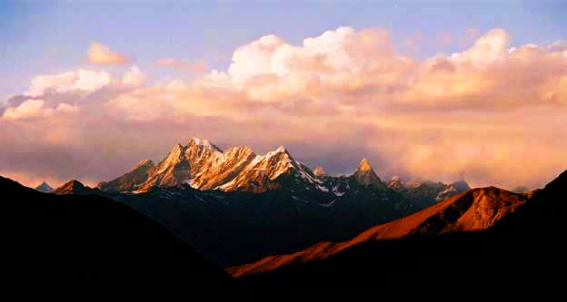 云漫金山 摄影 风铃草