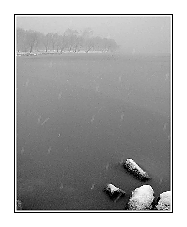 在雪中...(1) 摄影 吴建衡