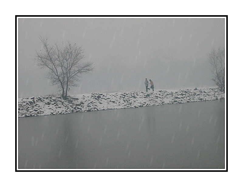 在雪中...(3) 摄影 吴建衡