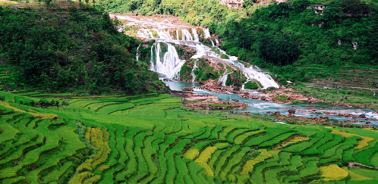 水色田园 摄影 风铃草