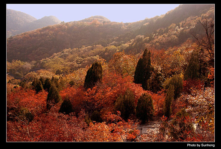 香山秋色 摄影 sunhong