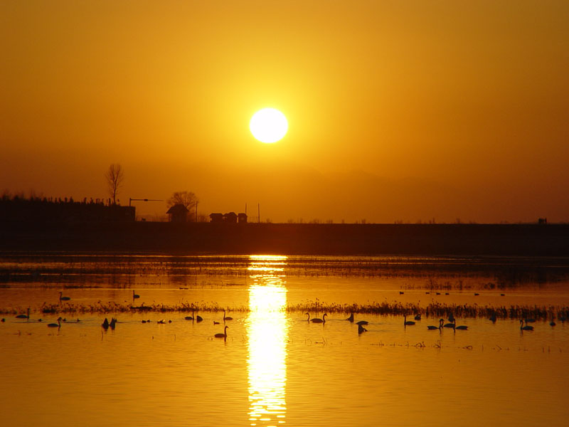 夕阳下 摄影 风情