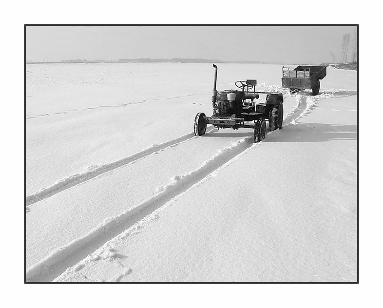 在雪中... 摄影 吴建衡