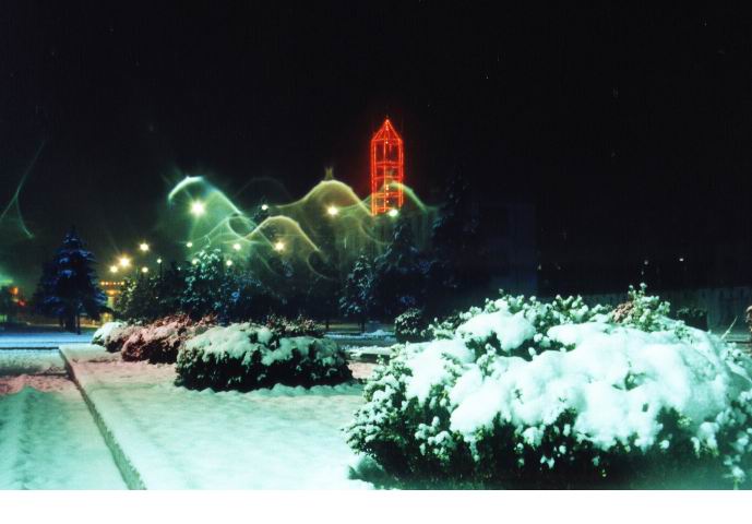 瑞雪飘飘 摄影 落叶有声