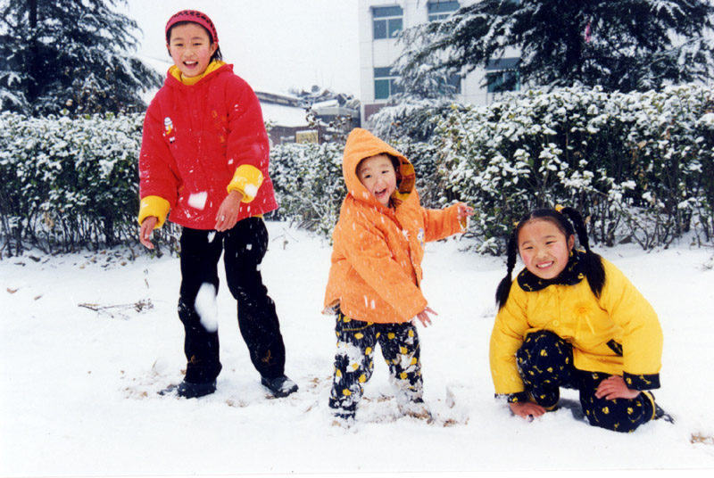 雪中三姐妹 摄影 神秘色彩