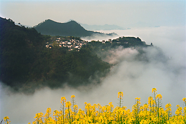 山村春色 摄影 风月无边