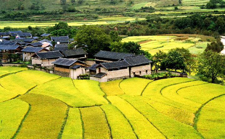 美丽家园 摄影 粉兔子