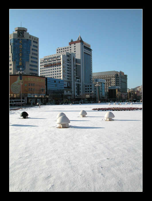 3月3日的那场雪---之一 摄影 深山老林