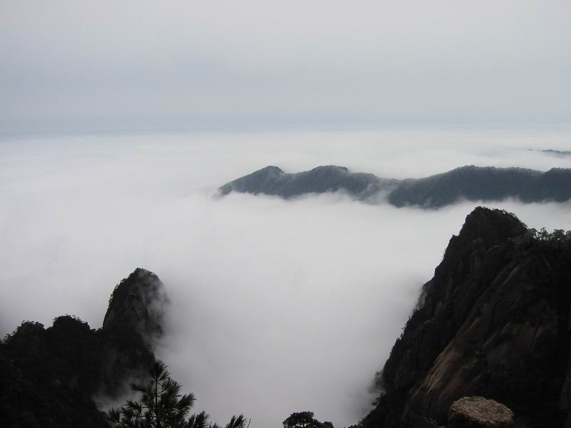 黄山 摄影 雨中云