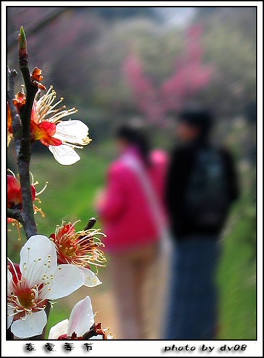 《 恋爱季节 》 摄影 金山