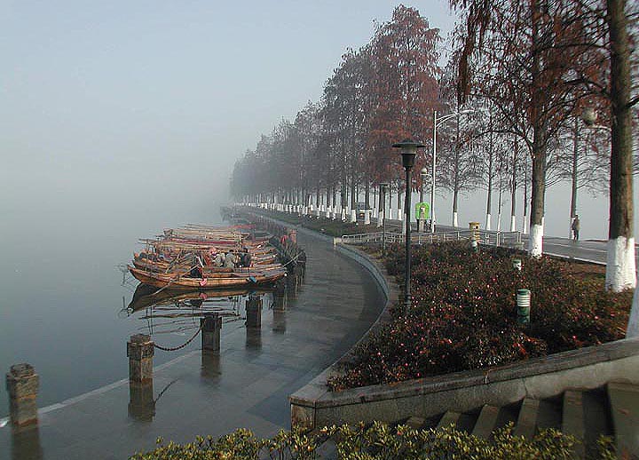 晨(武汉东湖小景) 摄影 九头鸟