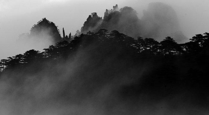 烟雨黄山 摄影 张勇