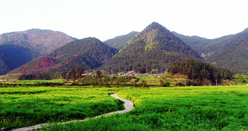 山村 摄影 清风山野