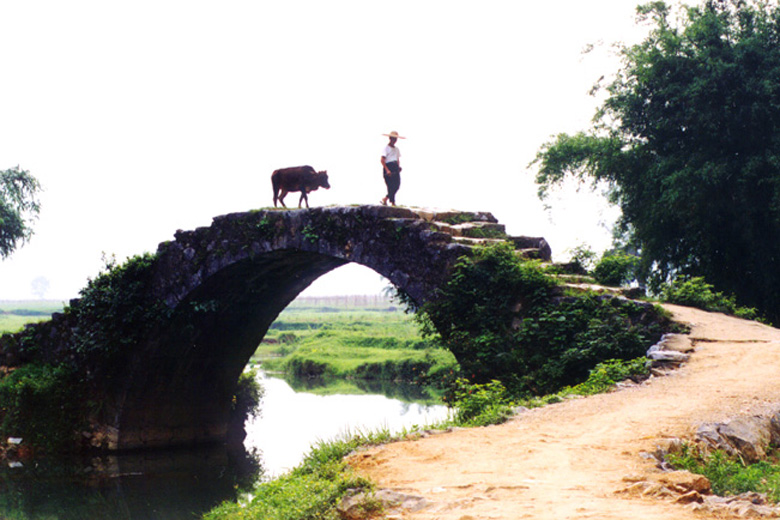 过桥 摄影 台山仔