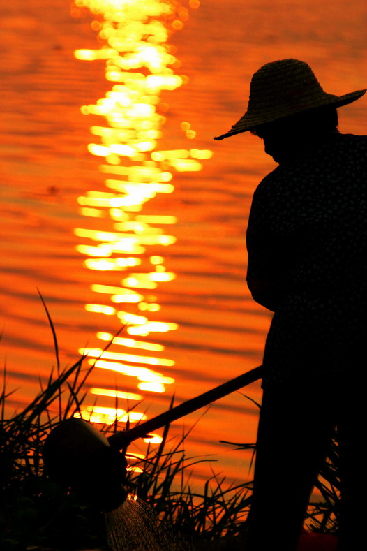 留住夕阳 摄影 江行