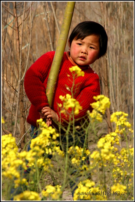 妈妈早回家 摄影 荷塘清风