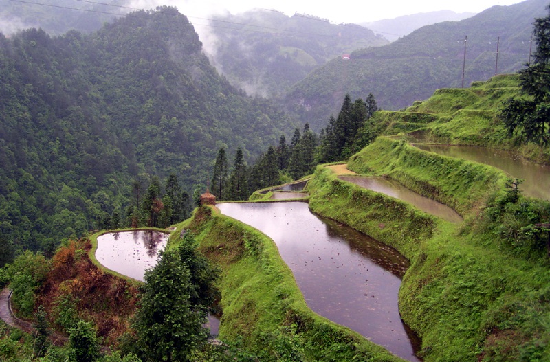 高山梯田 摄影 清风山野