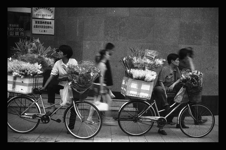 Flower and people 摄影 leon_zhu