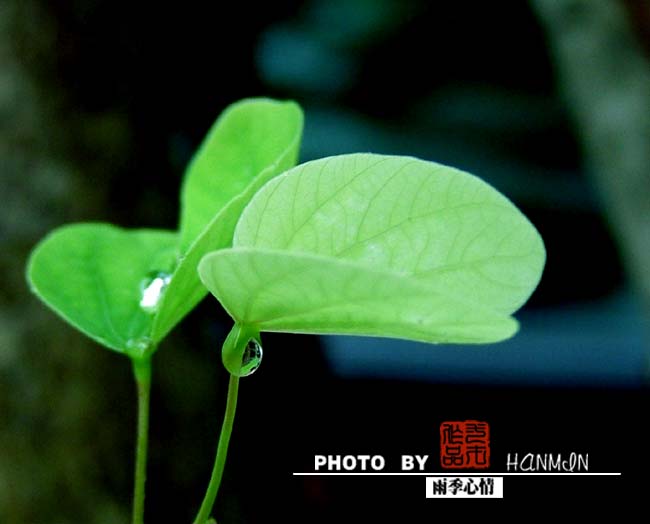 雨季心情2 摄影 一才