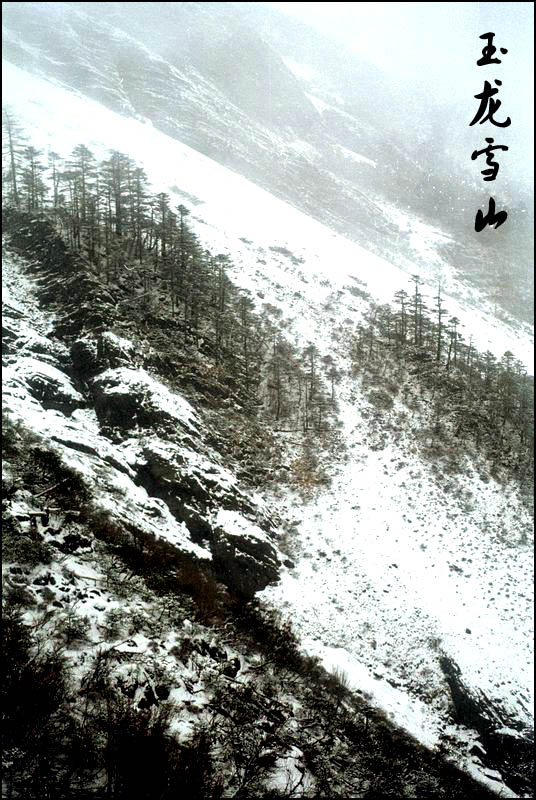 玉龙雪山 摄影 若冬