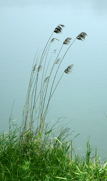 规律 摄影 沉岩