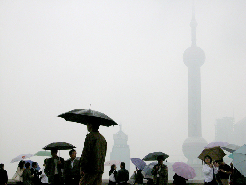 雨中 摄影 沙丁鱼