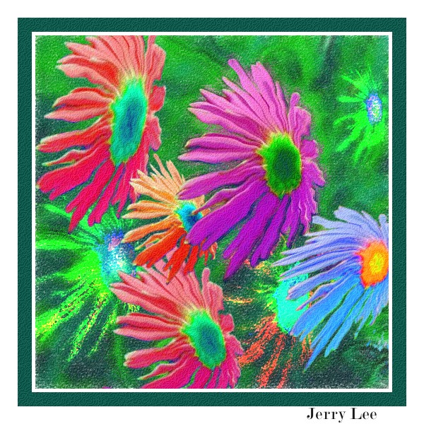 变形蓝菊花 摄影 jerrylee