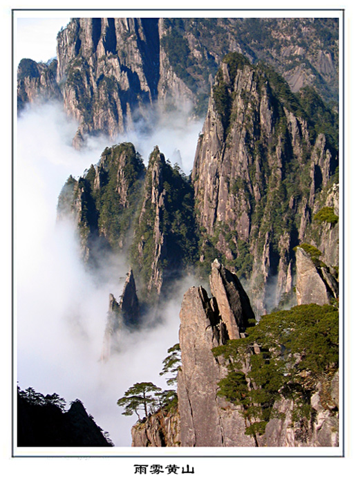 黄山 摄影 酥皮面包